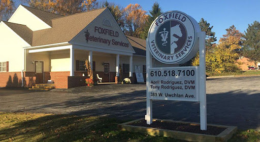 Take a Tour of our Downingtown Veterinary Services